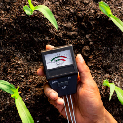 soil-meter-is-used-loam-planting-measure-soil-acidity soil-meter-is-used-loam-planting-measure-soil-acidity